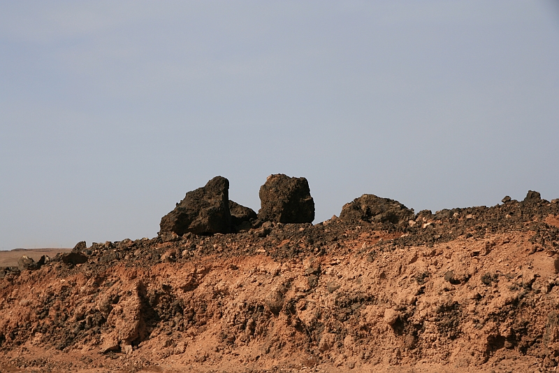 Kanary_2010 054